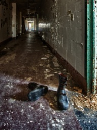 Hallway with Boots